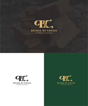 Logo Design by Dave Paresh
