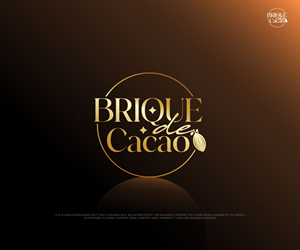 Logo Design by Ansh Design for this project | Design: #32281248