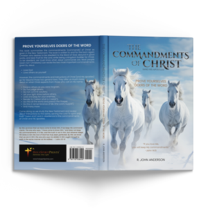 Book Cover Design by Winki