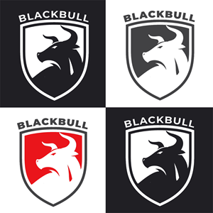Logo Design by Joornale