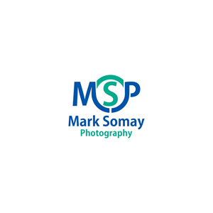 Logo Design by asyifa