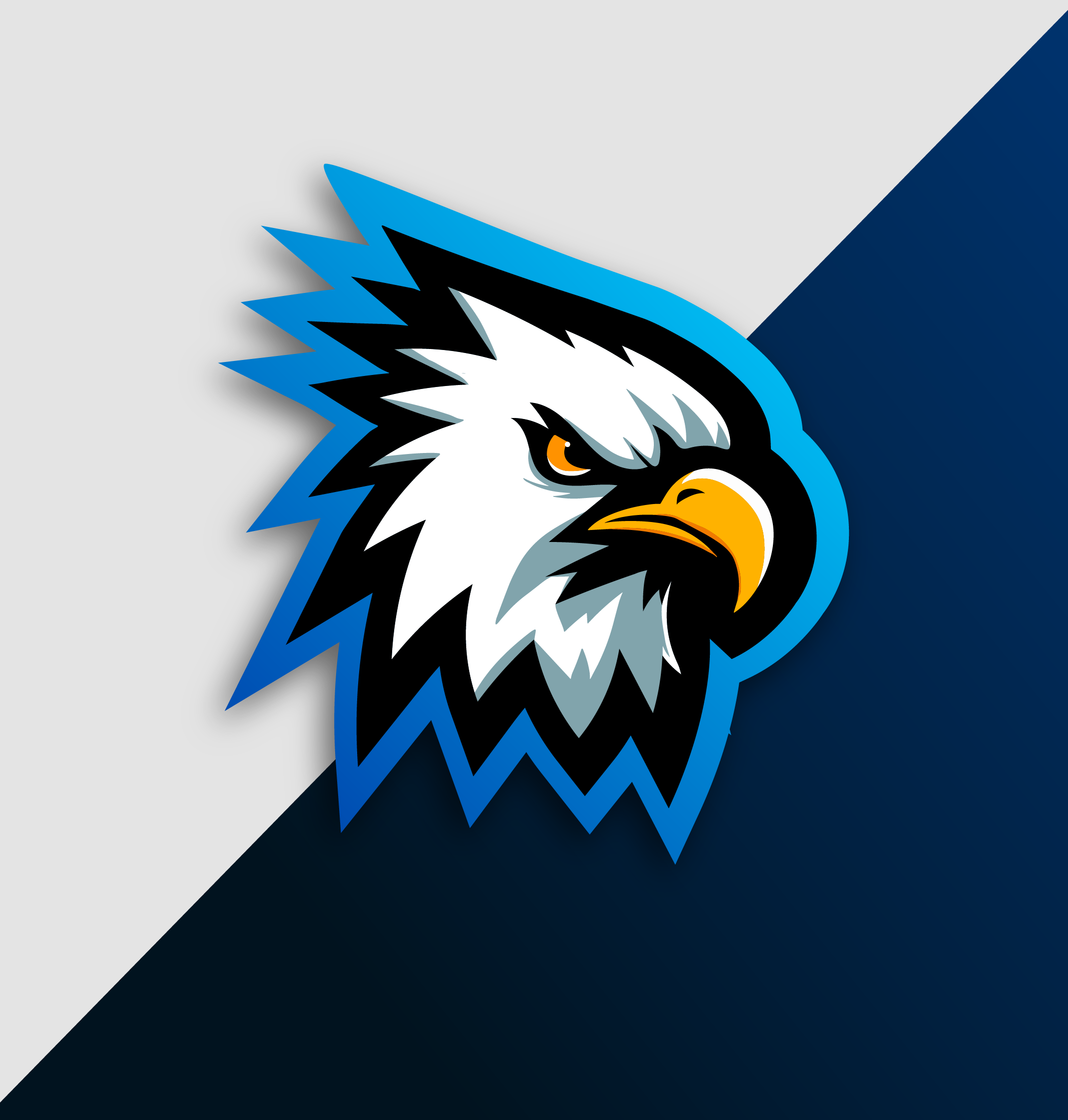 Logo Design by Elcdtm for Raptor Mehanical | Design #32307611