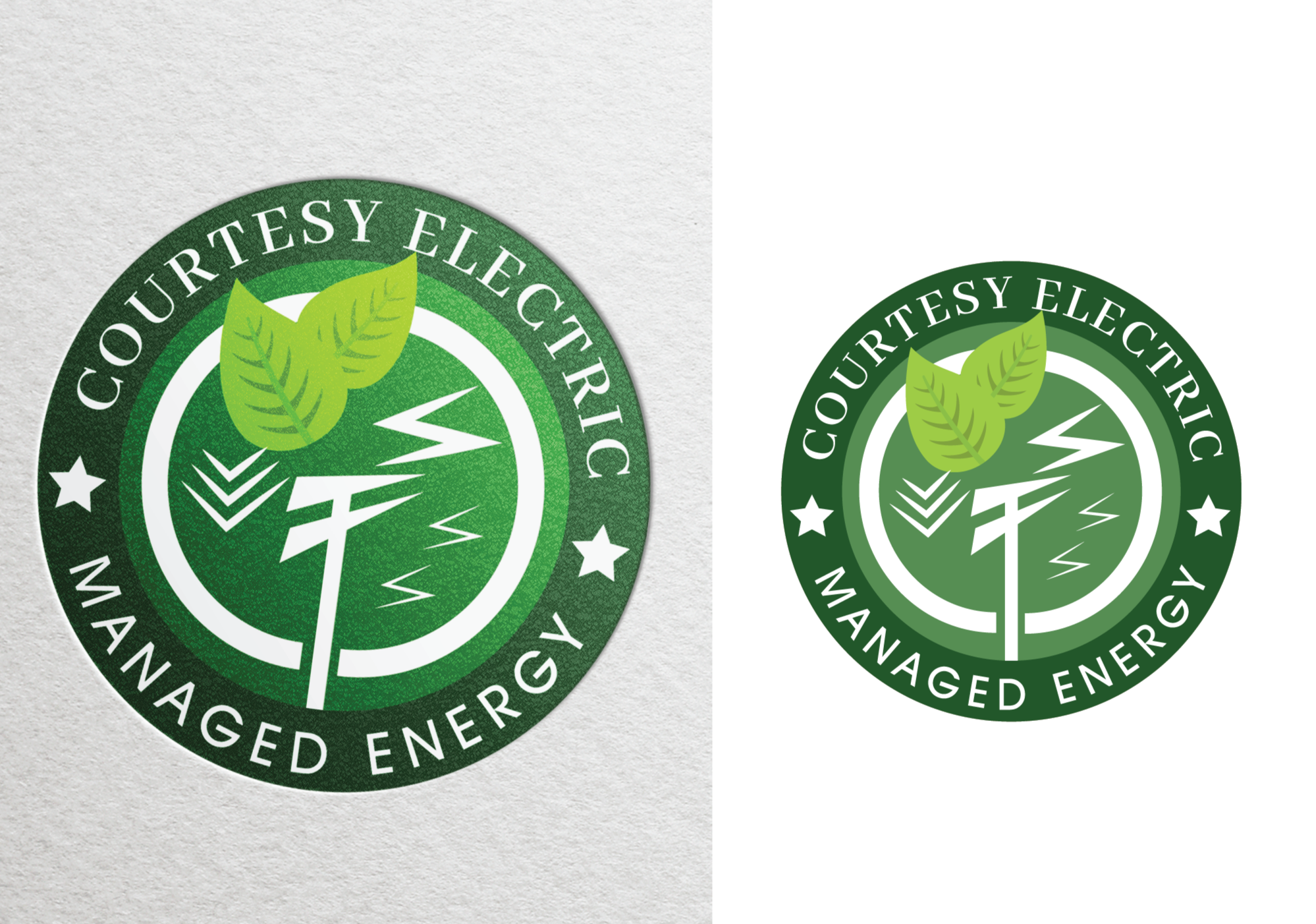 Logo Design by Rohit Anand for this project | Design #32313066