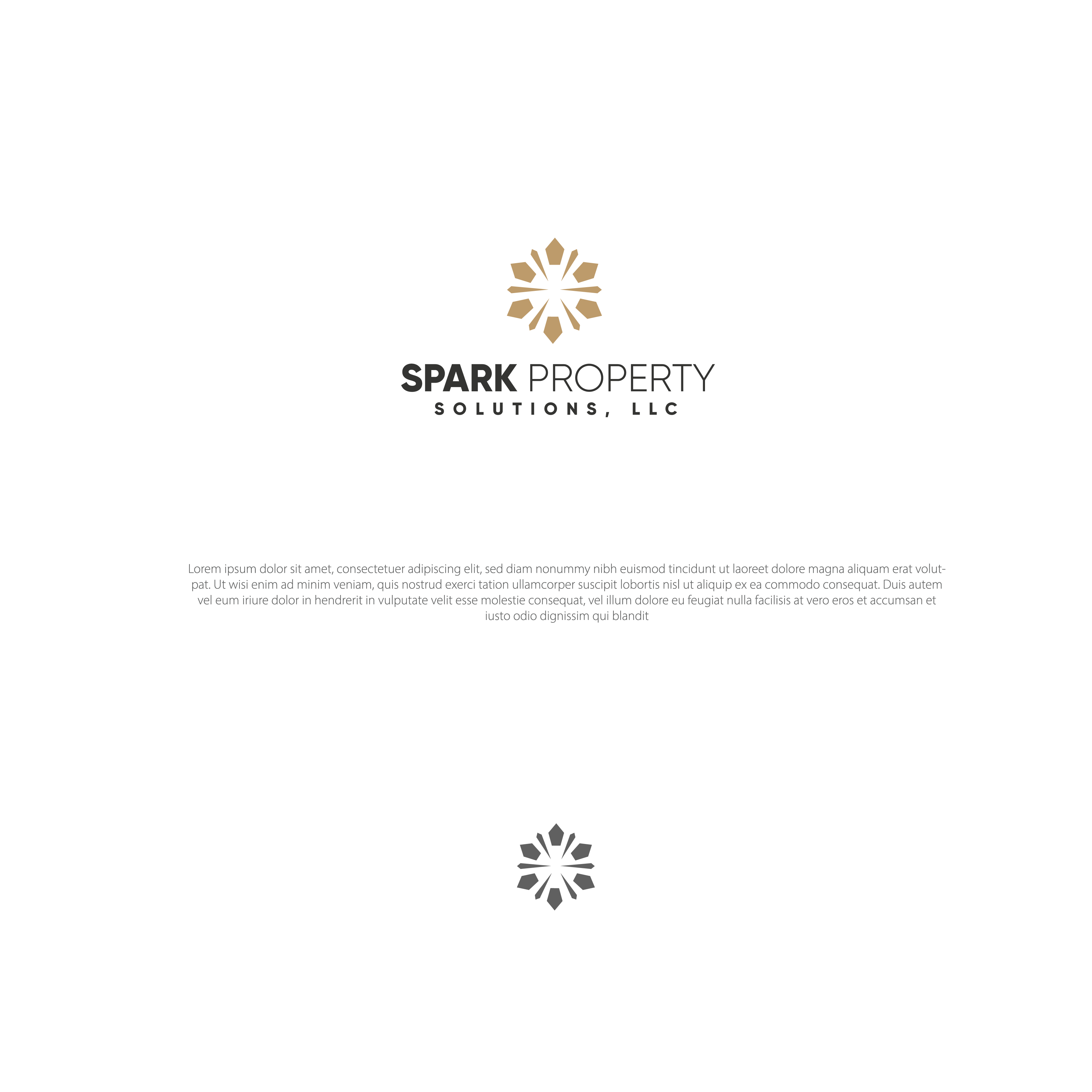 Logo Design by AbrinaDesign for Spark Property Solutions, LLC | Design #32300656
