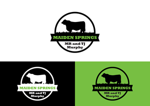 Diseño Gráfico por r.benlak para este proyecto | Diseño: #32339112