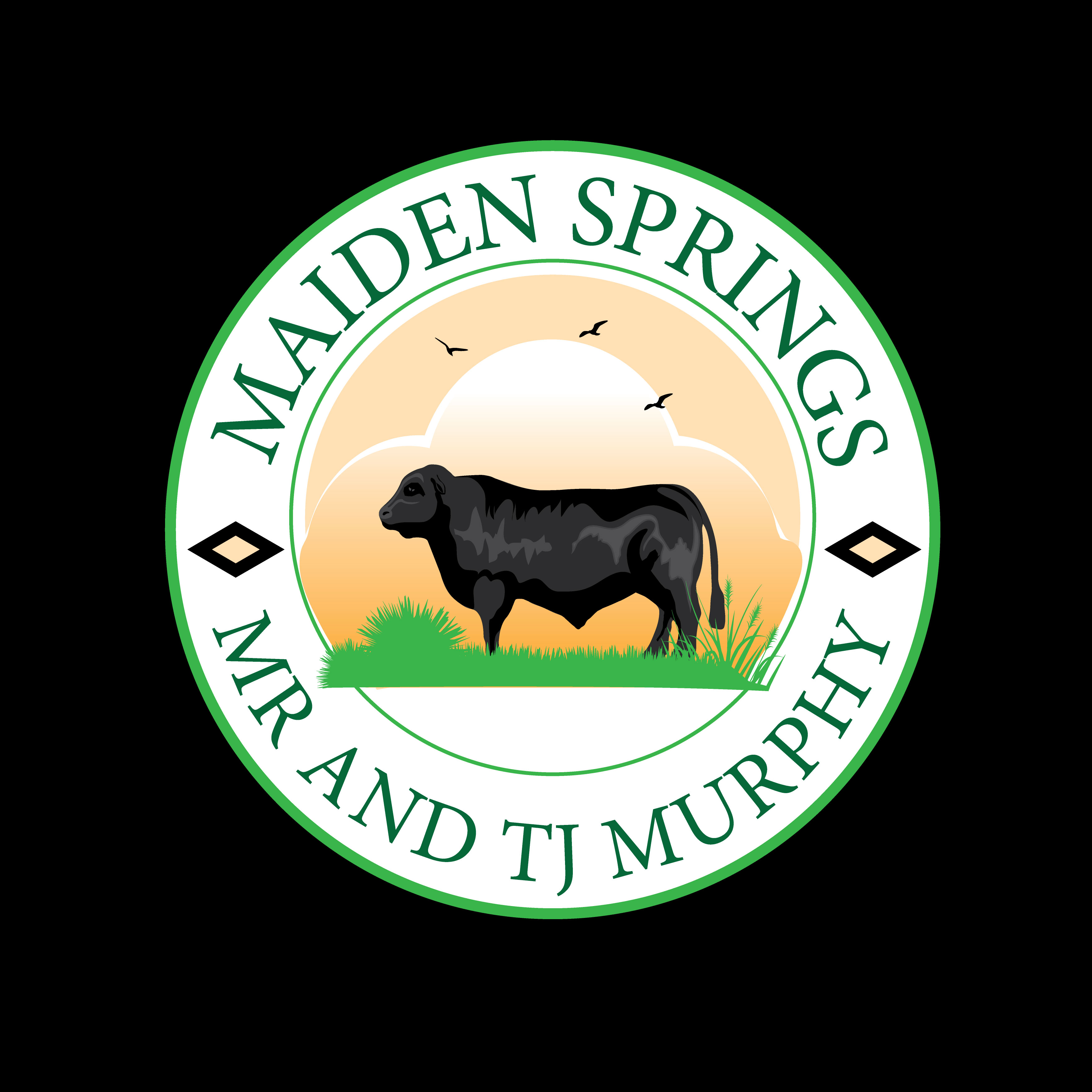 Diseño Gráfico por Wonderful design para este proyecto | Diseño #32339523