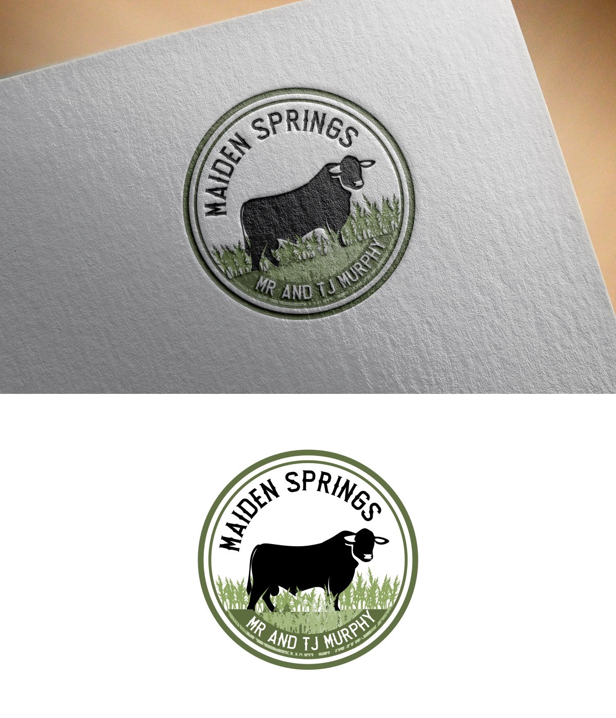 Diseño Gráfico por design.bb para este proyecto | Diseño #32309698