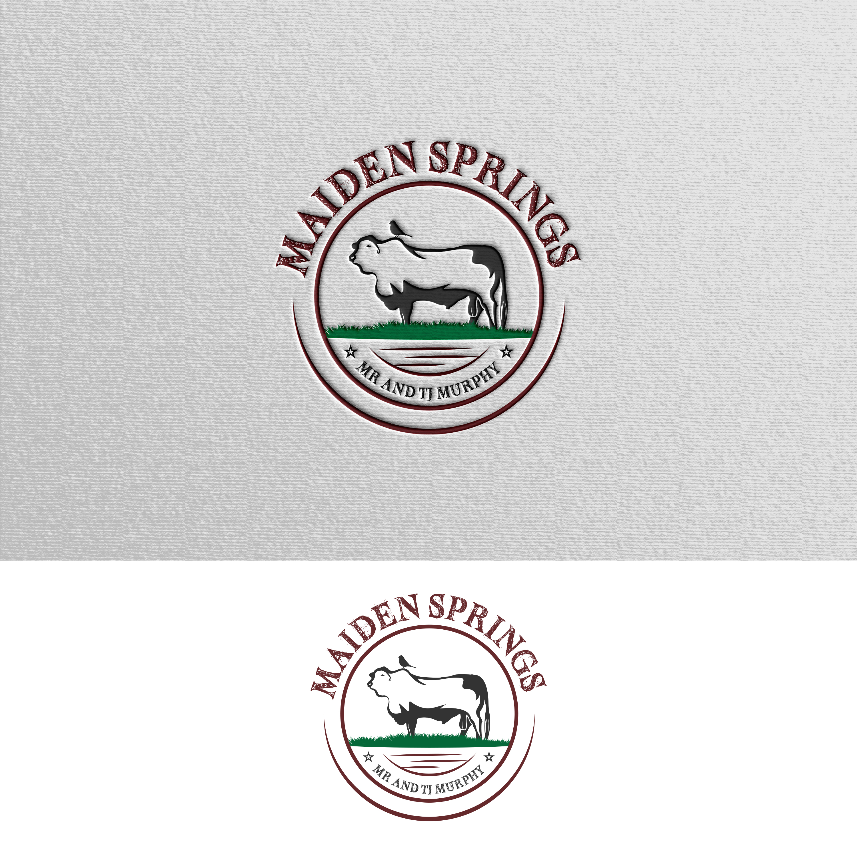 Graphic Design by Impressive Designs for this project | Design #32328749