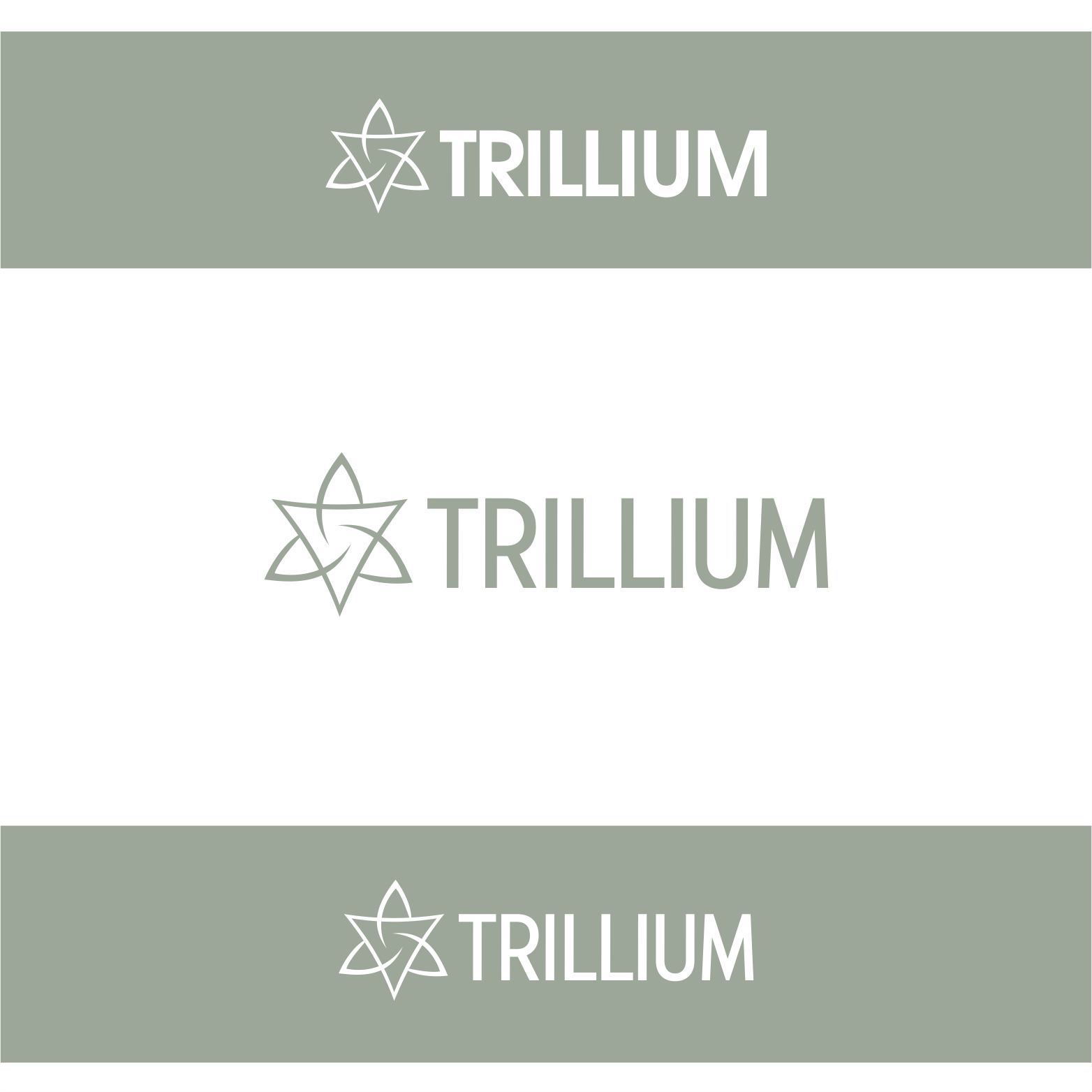 Contest winning design