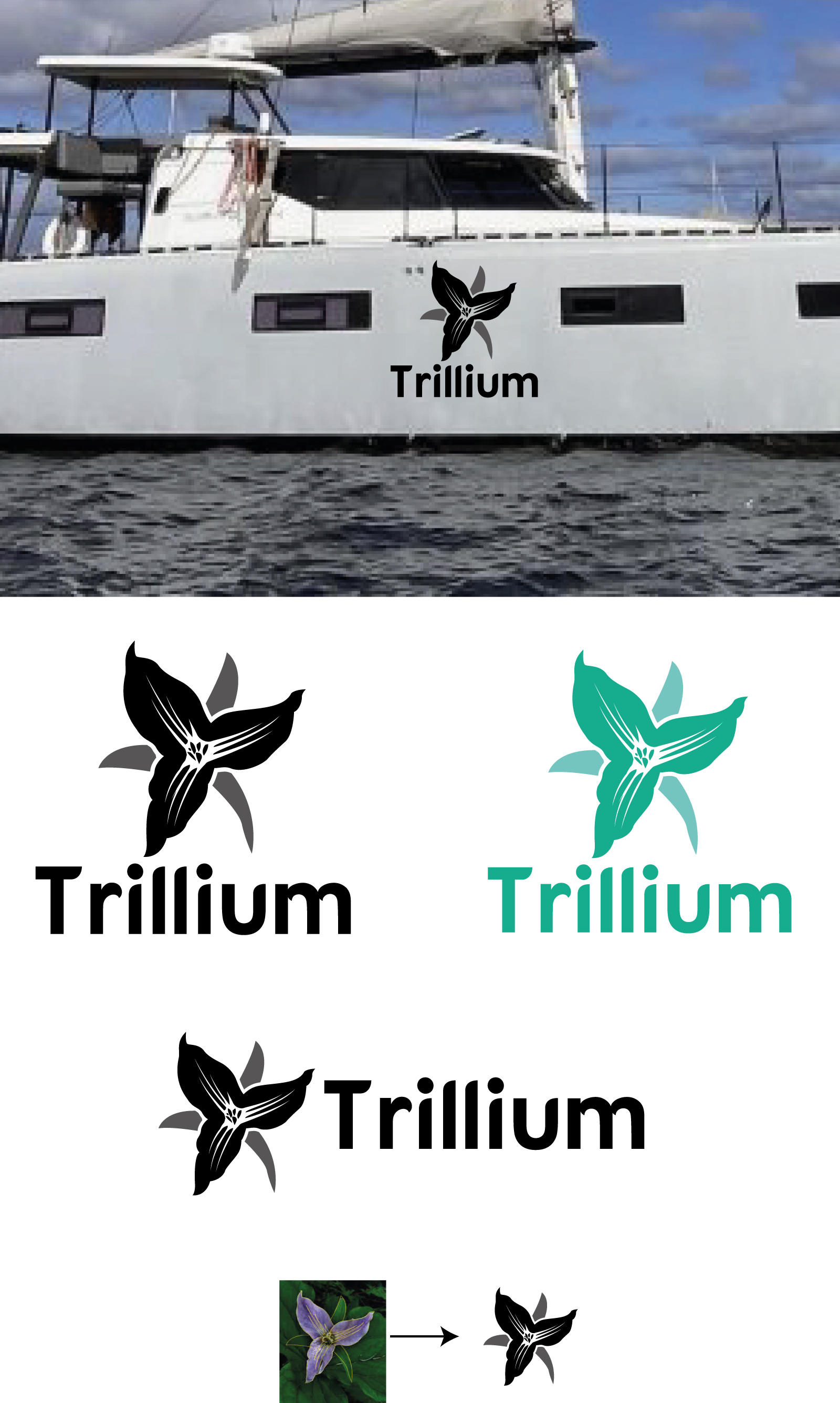 Logo Design by Rubia@ for this project | Design #32323168