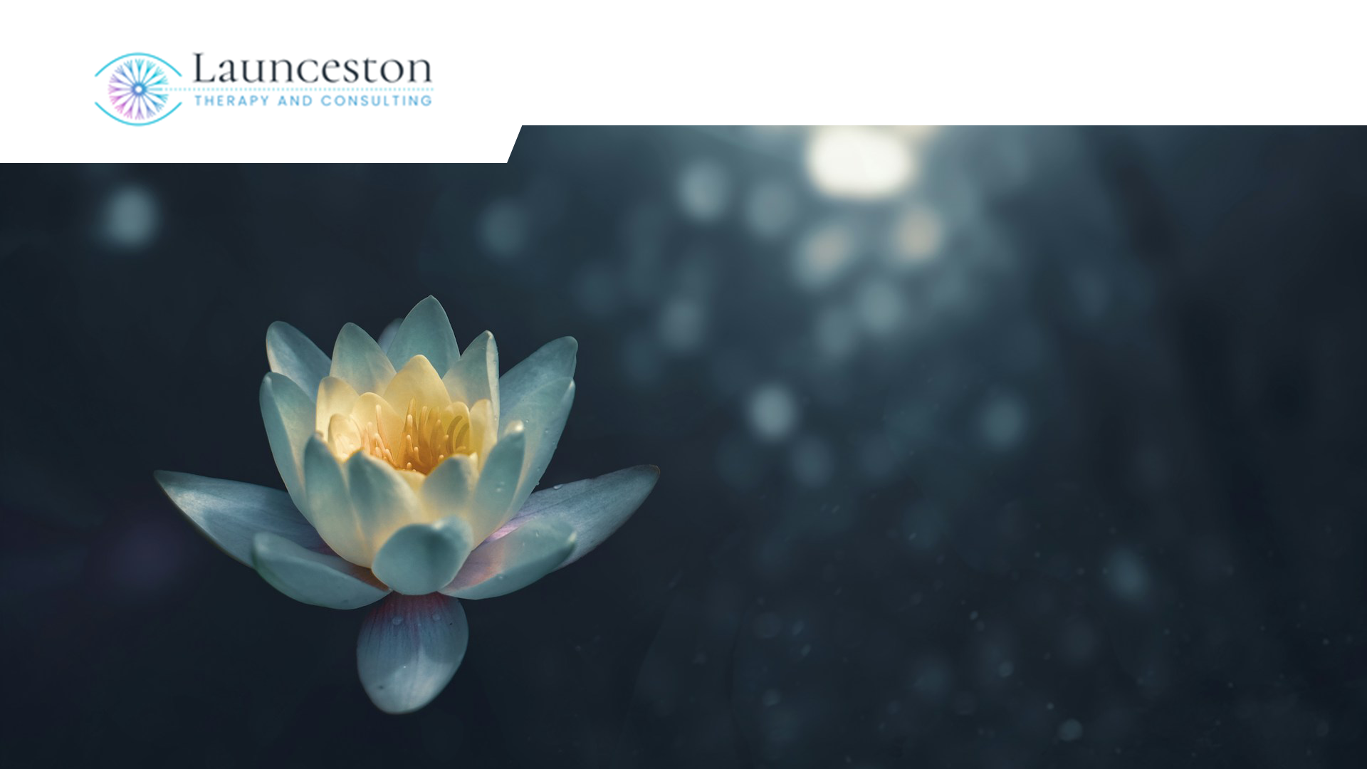 Web-Design von ed_scenery für dieses Projekt | Design #32331836