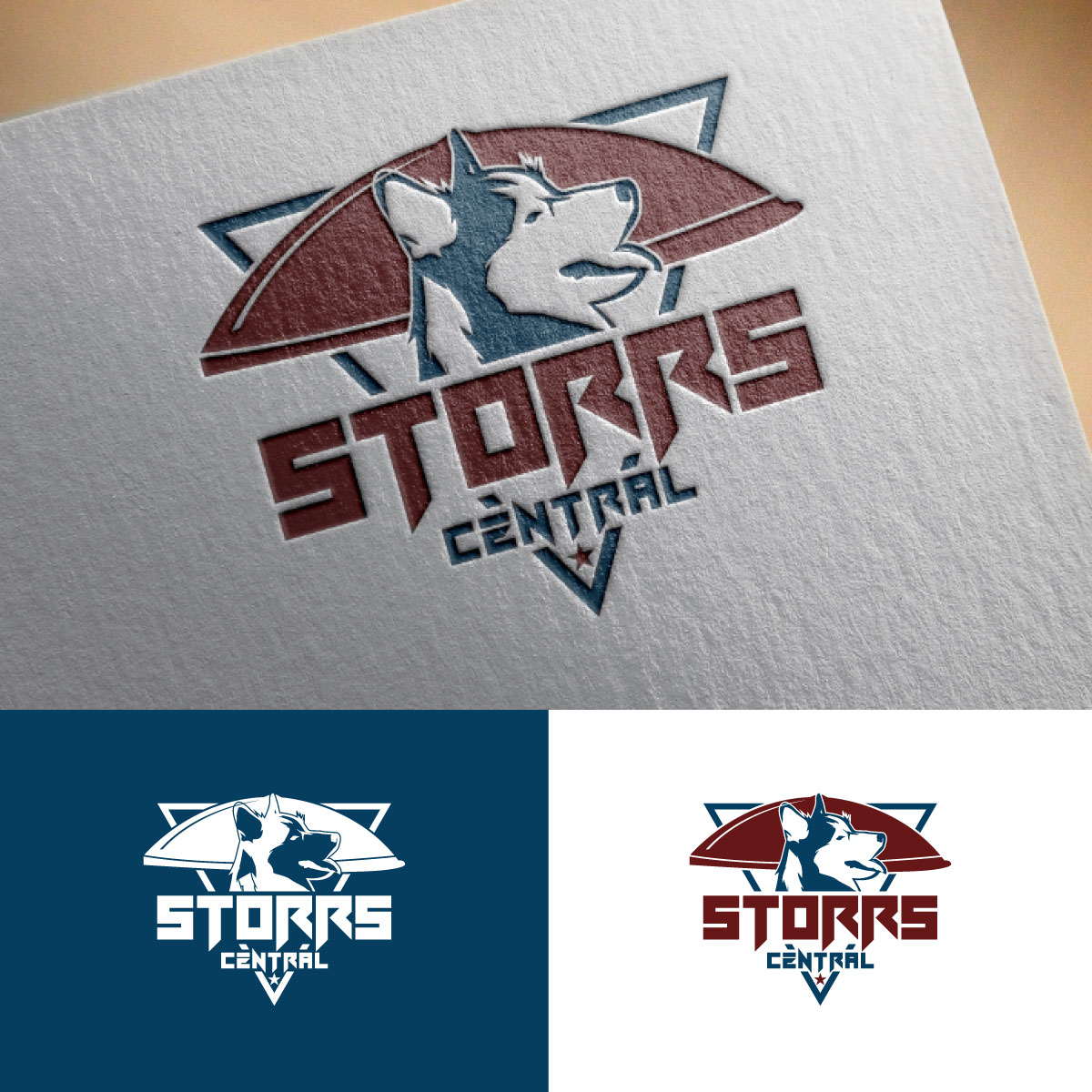 Logo Design by Loknath for this project | Design #32330099