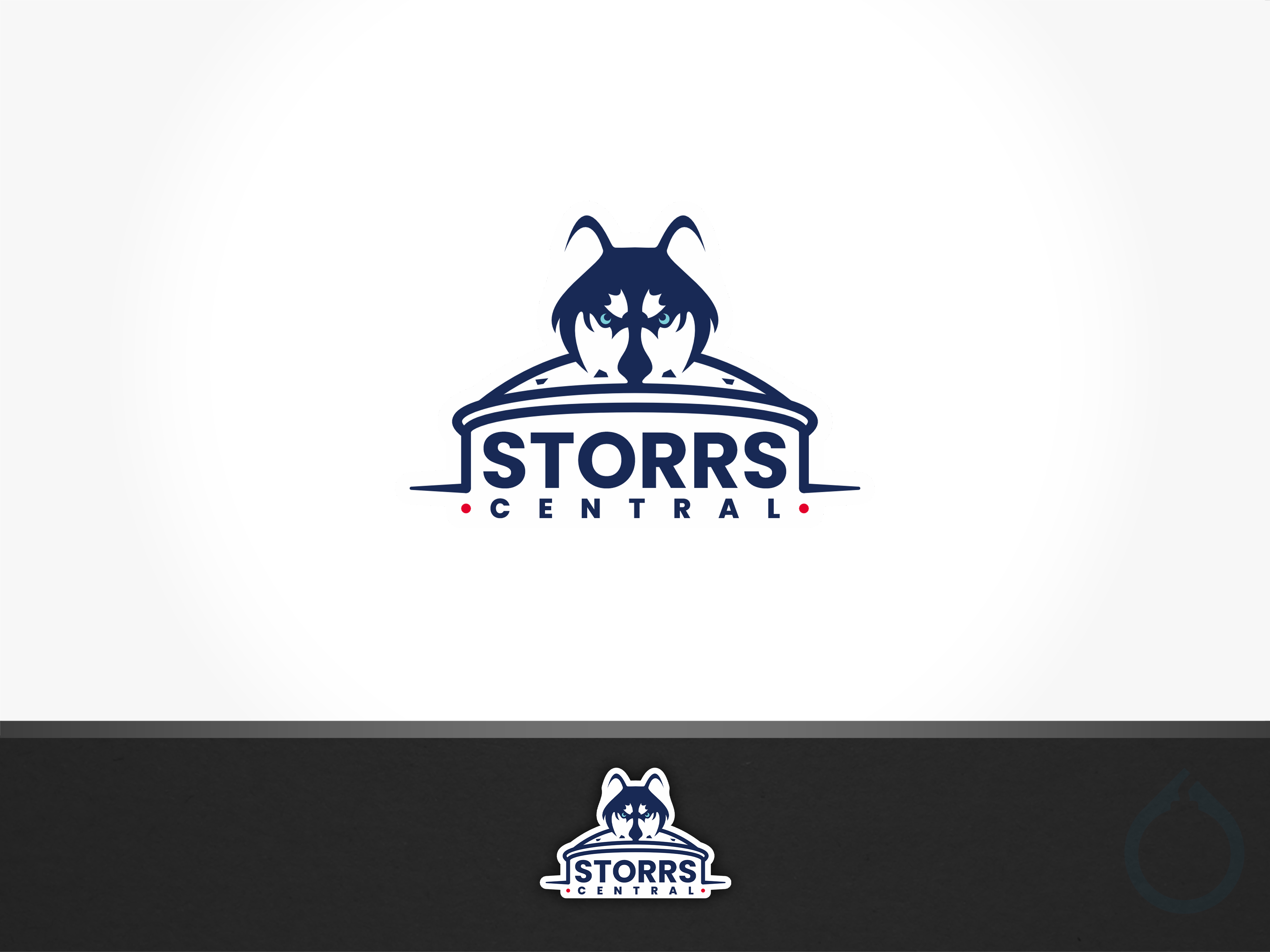 Logo Design by aquabomb26 for this project | Design #32332739