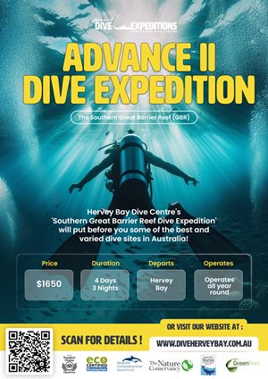 Graphic Design by Hakaze Std for Hervey Bay Dive Centre | Design: #32352627