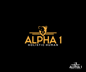 Logo Design by Ansh Design for this project | Design: #32336446