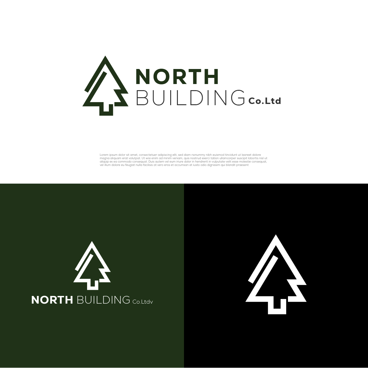 Design de Logo par urvaG pour North Building Co. Ltd | Design #32345836