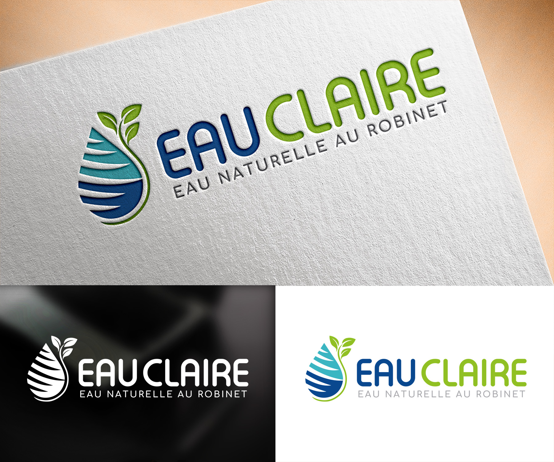 Logo Design by Vishak vasu for EAU CLAIRE | Design #32355278