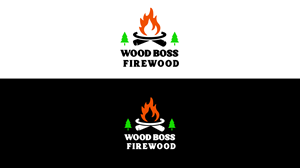 Logo Design by Safeer Ahmed1