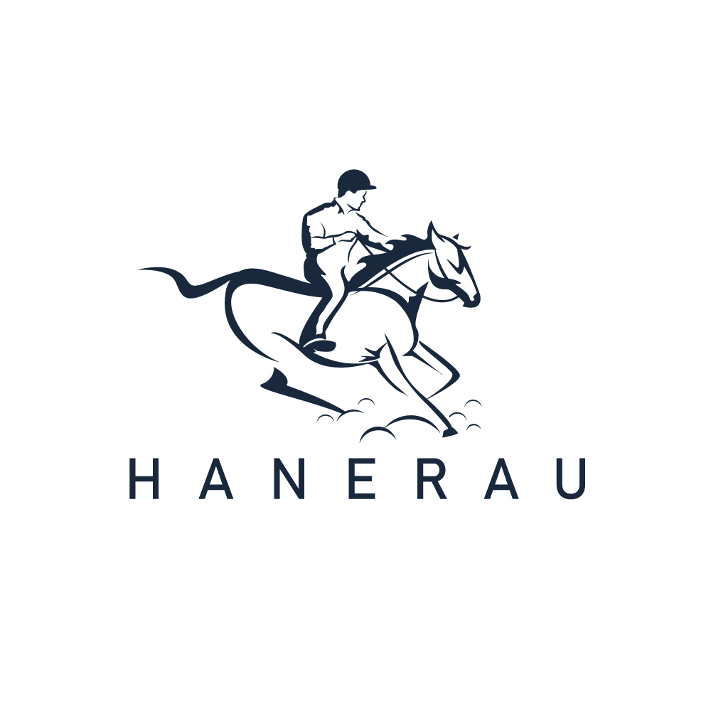 Design de Logo par Krold IT Solutions pour Hanerau LLC | Design #32344223