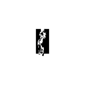 Logo-Design von Microos für Hanerau LLC | Design #32373236