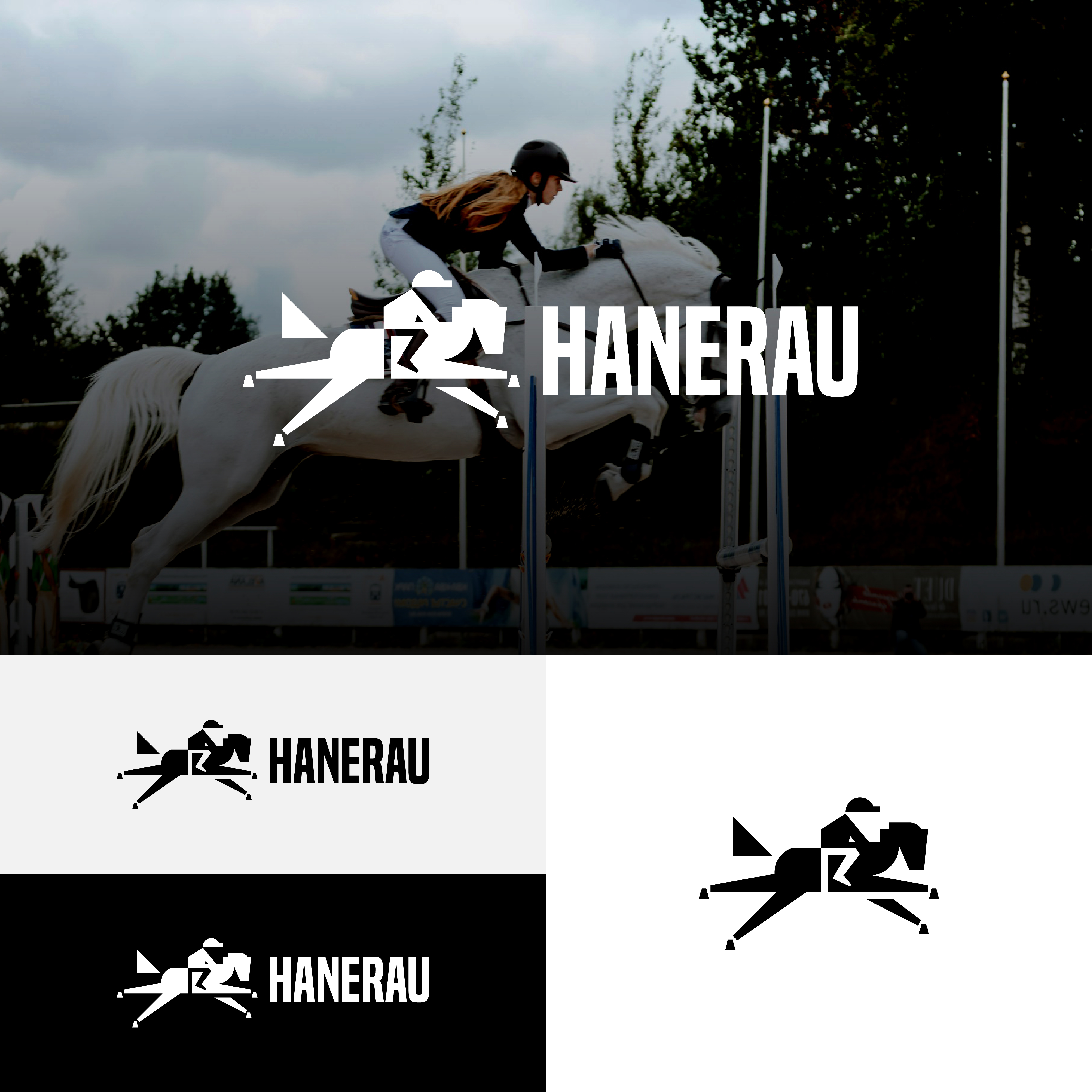 Logo Design by A.R.D.P for Hanerau LLC | Design #32383298