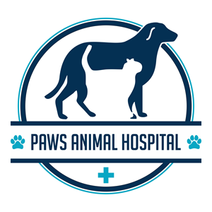 Logo Design by CariCuan24 for this project | Design: #32351045