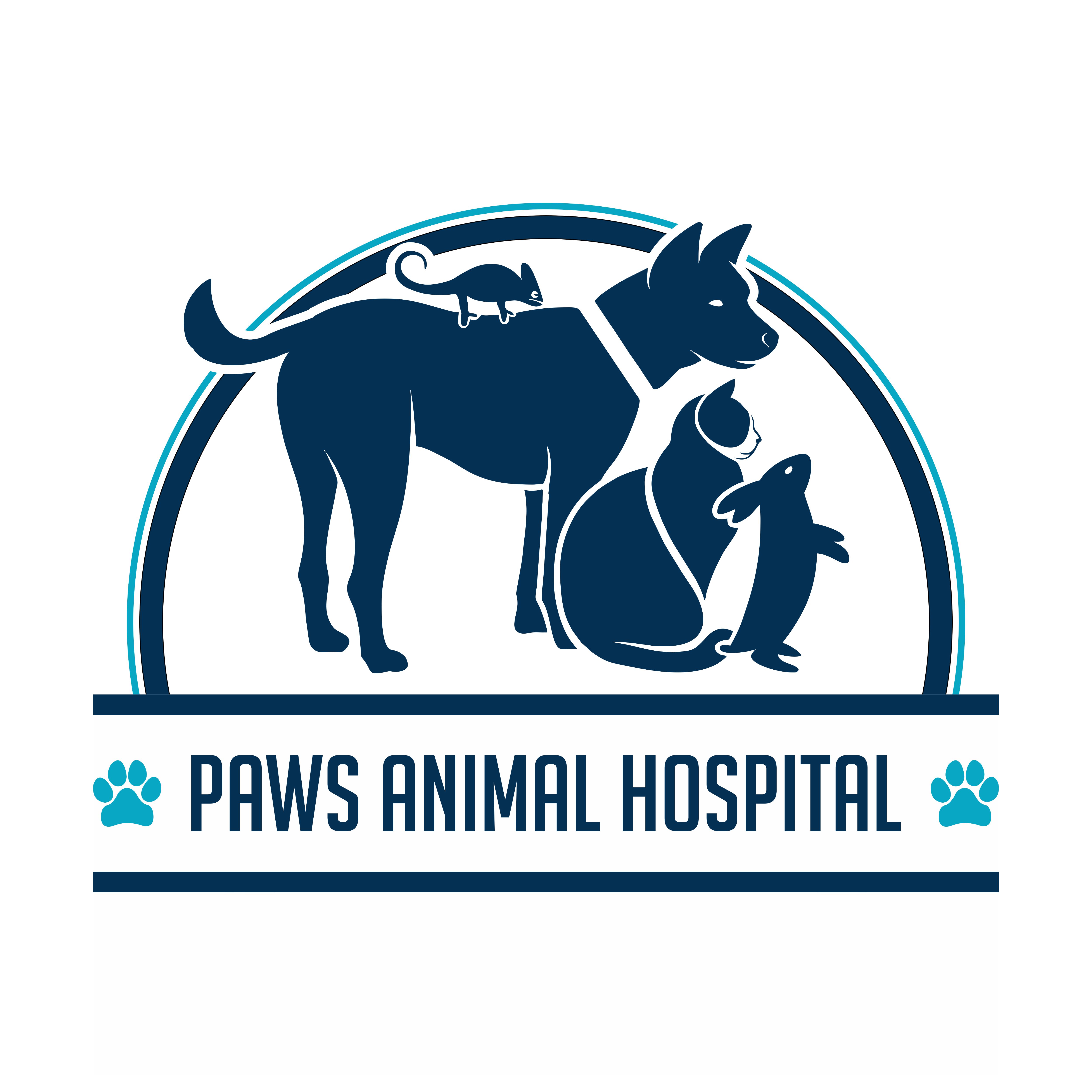 Logo Design by CariCuan24 for this project | Design #32353711