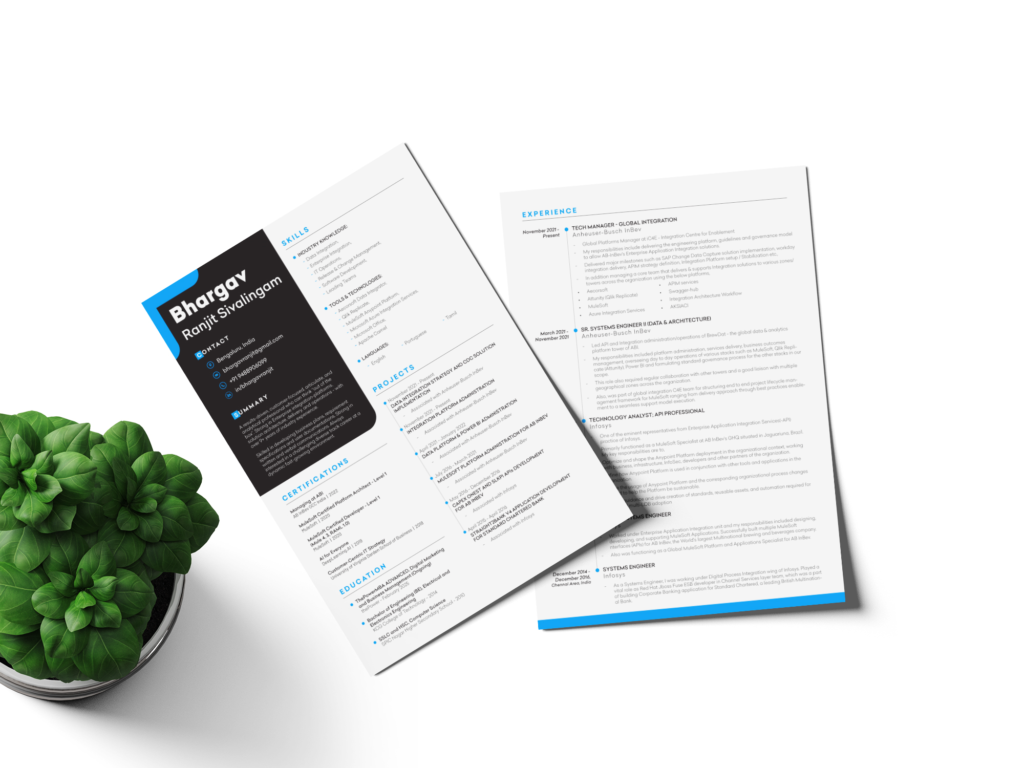 Lebenslauf-Design von JanuXart für Bhargav | Design #32351658