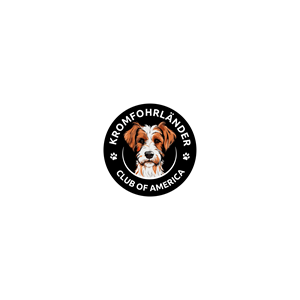 Logo Design by A10 for this project | Design: #32347615