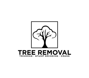 Logo Design by Nova_Create for this project | Design: #32358067