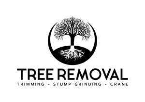 Logo Design by a.v.creation