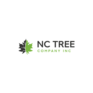 Logo Design by LAXMI DESIGNHUB for this project | Design: #32349753