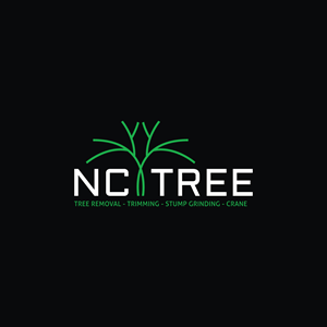 Logo Design by LAXMI DESIGNHUB for this project | Design: #32349755