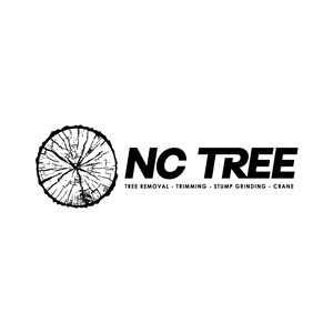 Logo Design by LAXMI DESIGNHUB for this project | Design: #32373994