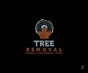 Logo Design by Ansh Design for this project | Design: #32350147