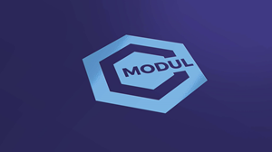 Logo Design by MOLO for APIEN Invest s.r.o. | Design: #32385260