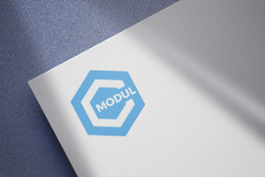 Logo Design by MOLO for APIEN Invest s.r.o. | Design: #32385262