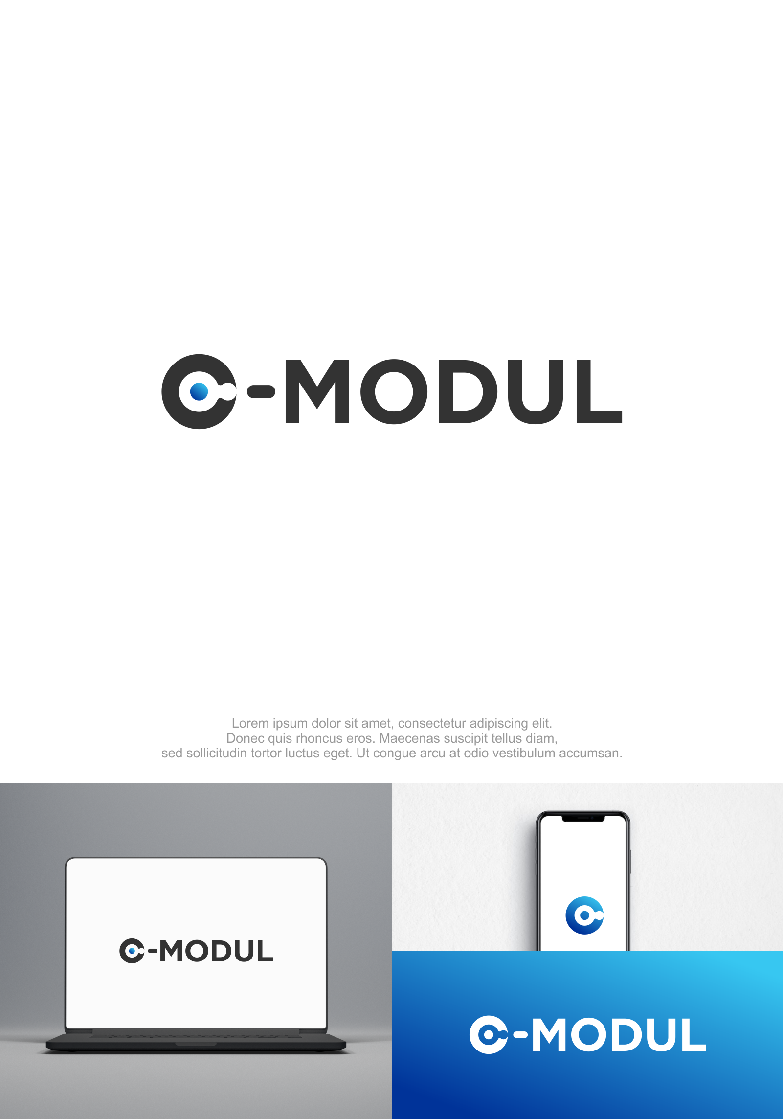 Logo Design by M.Syaiful Huda for APIEN Invest s.r.o. | Design #32357859