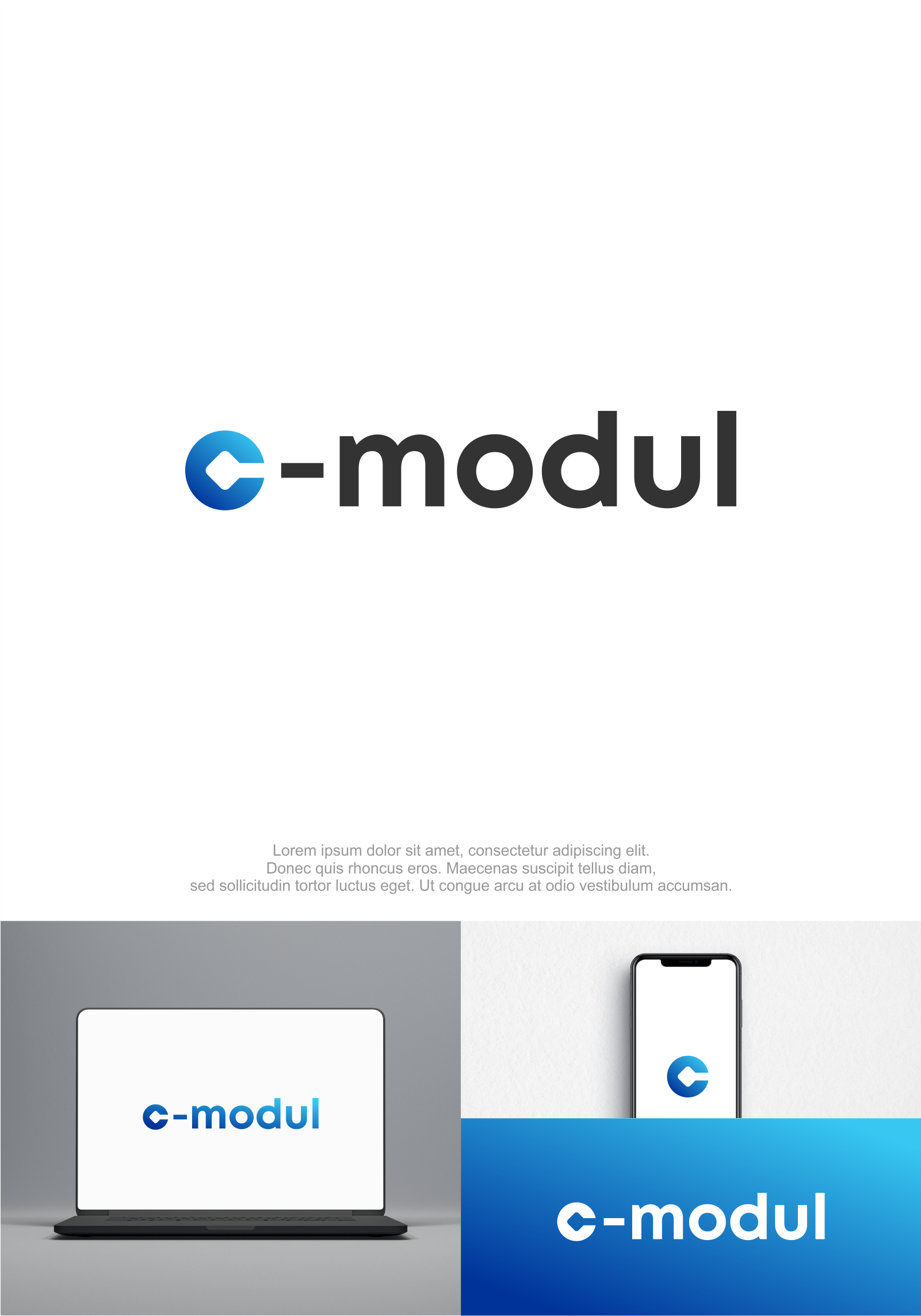 Logo Design by M.Syaiful Huda for APIEN Invest s.r.o. | Design #32357966