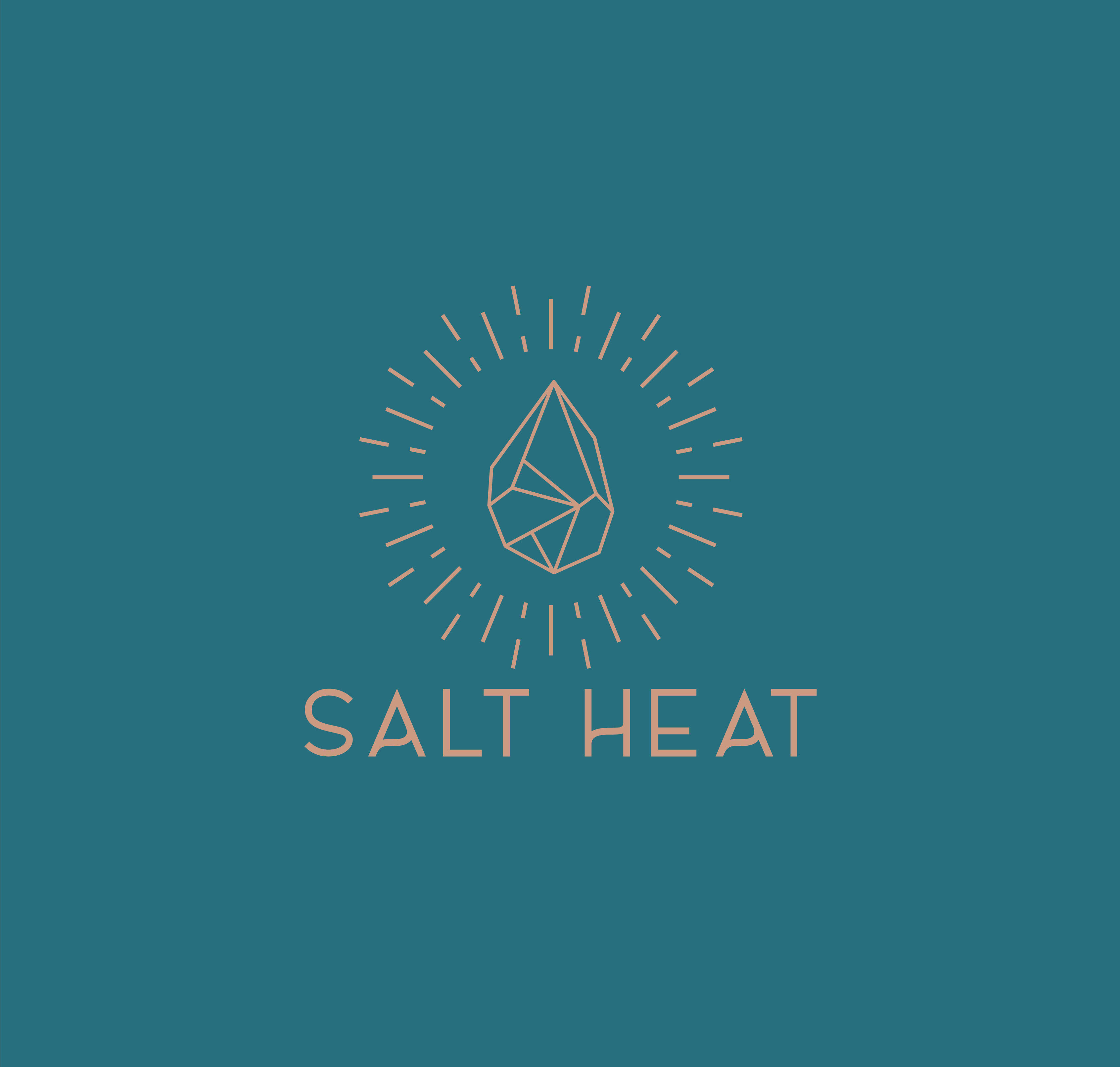 Logo Design by Birdcage for Comp360 | Design #32396649