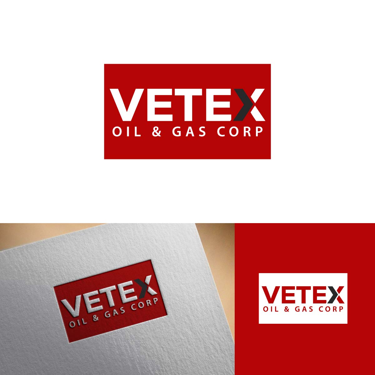 Logo Design by fly  design for Tunnel Energy Partners | Design #32390954