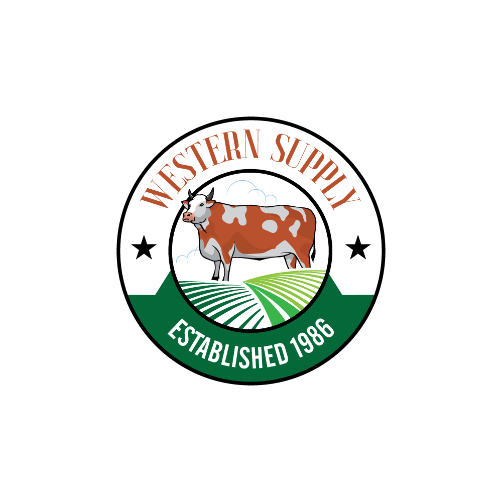 Logo Design by YourLogoMaster for JoesUSA.com | Design #32385066