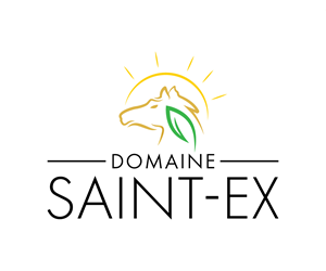 Logo Design by Adi Graphics for Dmedia | Design: #32410950