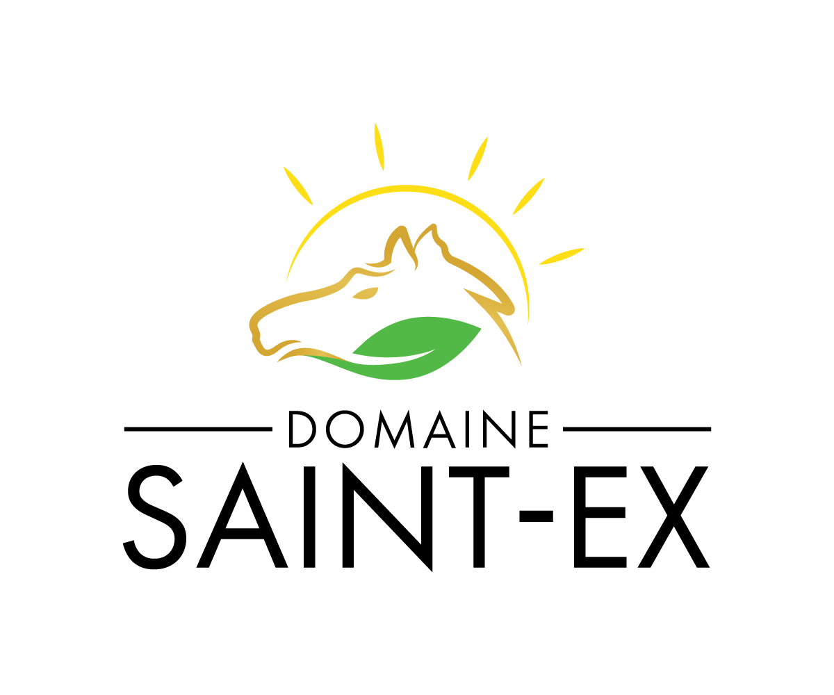 Design de Logo par Adi Graphics pour Dmedia | Design #32410951