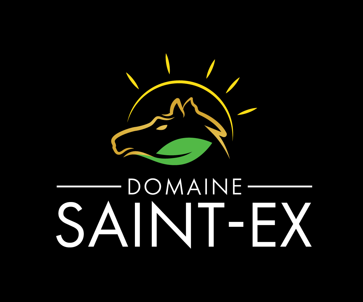 Design de Logo par Adi Graphics pour Dmedia | Design #32410952