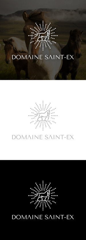 Logo Design by Oleksandr Tovarkov for Dmedia | Design: #32399645