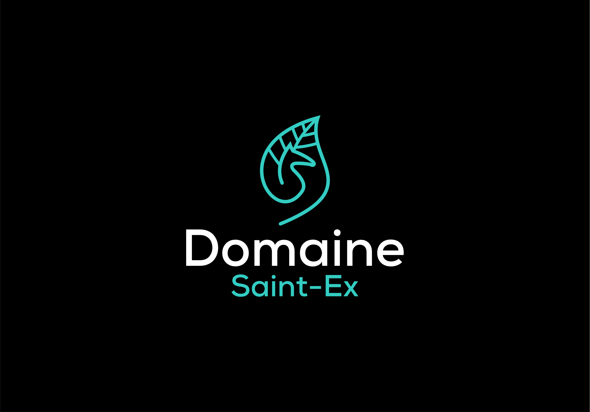 Logo Design by Grafie for Dmedia | Design #32401626