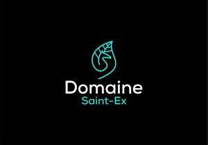 Logo Design by Leon.art for Dmedia | Design #32401626