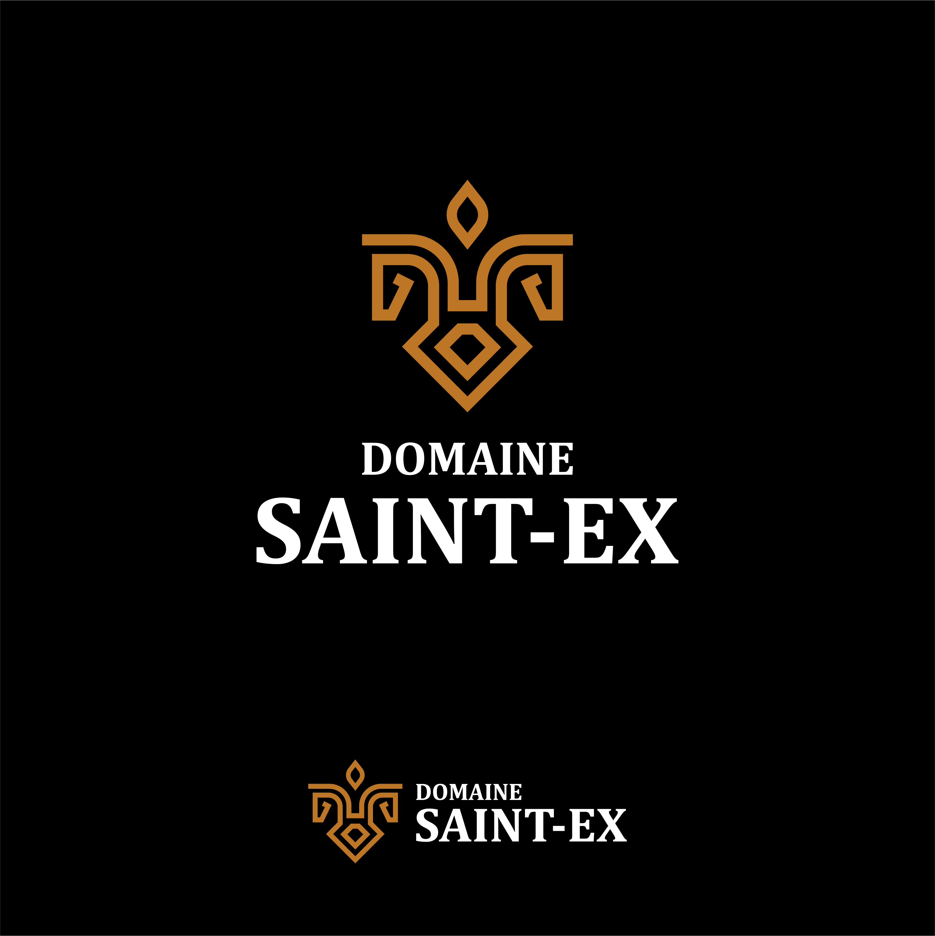 Logo Design by Ryz Design for Dmedia | Design #32436531