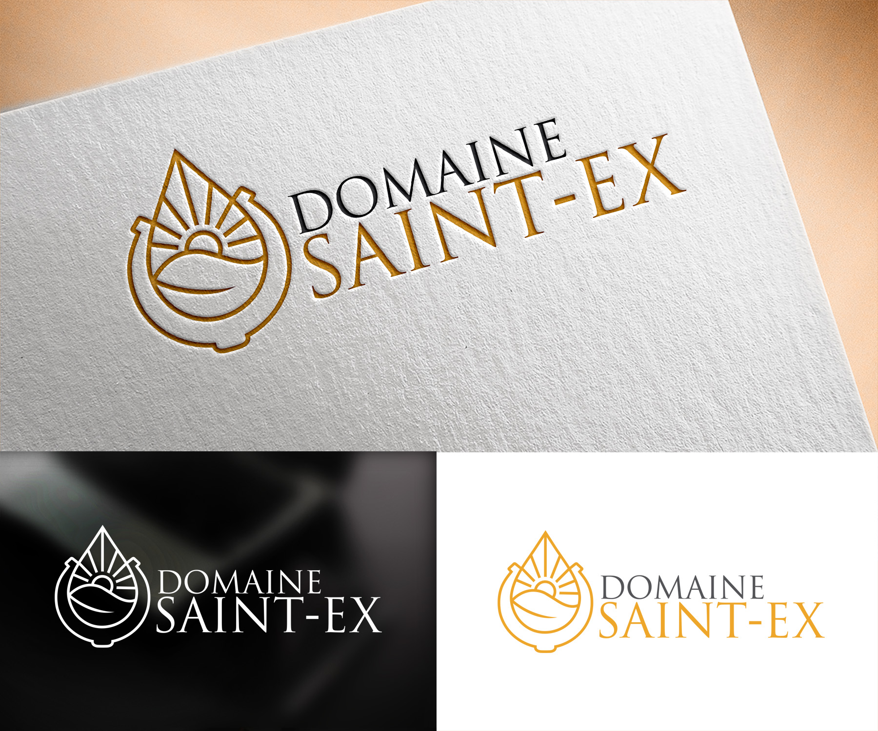 Logo Design by Vishak vasu for Dmedia | Design #32436109